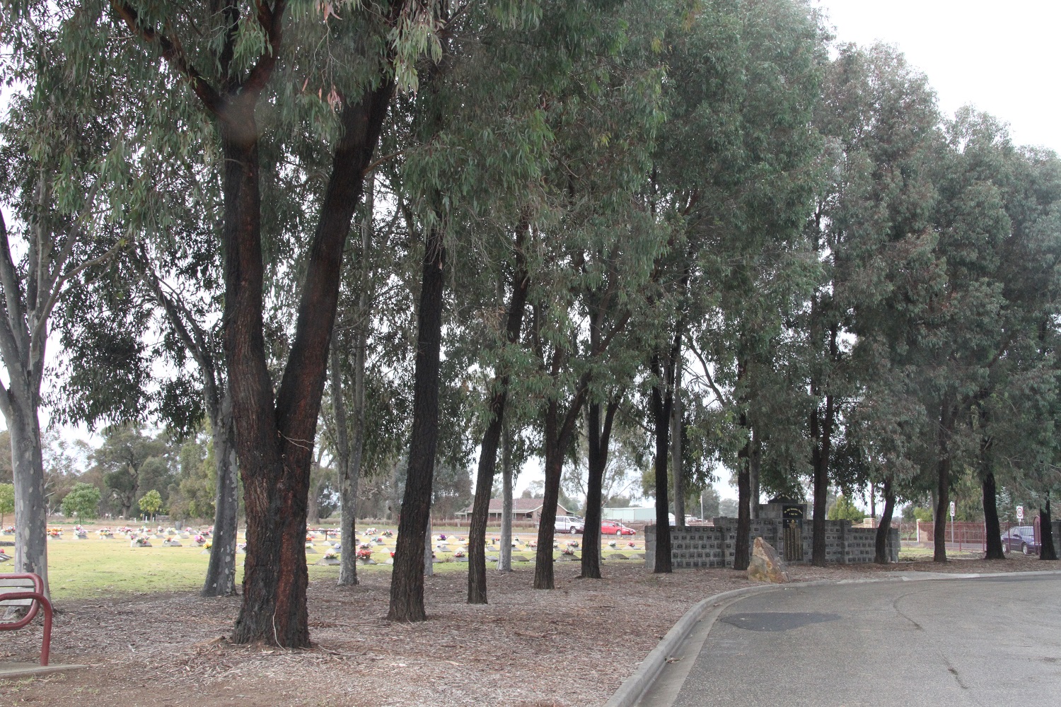 trees near the memorial wall